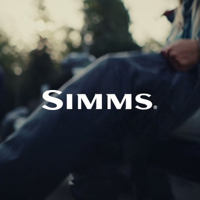 Поступление Simms