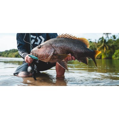 Мультипликатор Daiwa 26 Ryoga SV