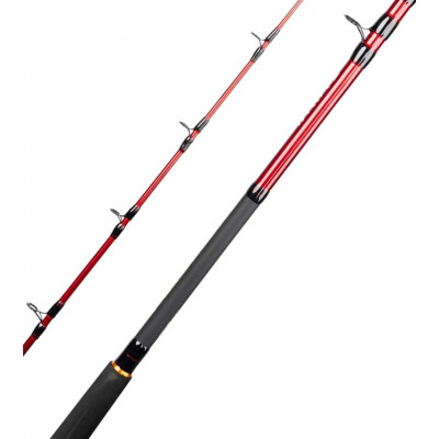 Удилище лодочное Daiwa Seahunter Boat