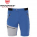 Лёгкие шорты Favorite Track Shorts Blue