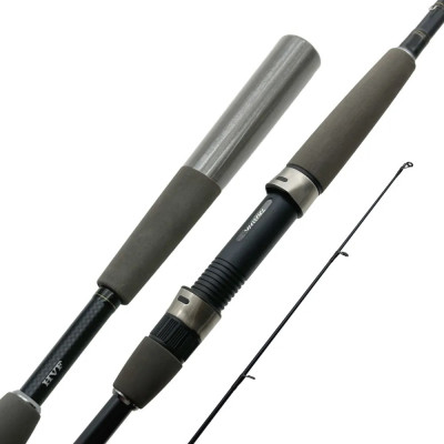 Спиннинг Daiwa Exceler 1002MFS длина 3,05м тест 15-55гр