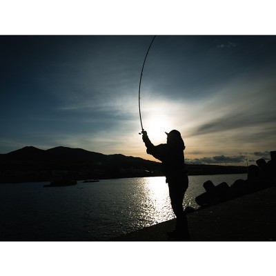 Спиннинг Daiwa HRF SX