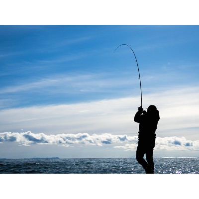 Спиннинг Daiwa HRF SX