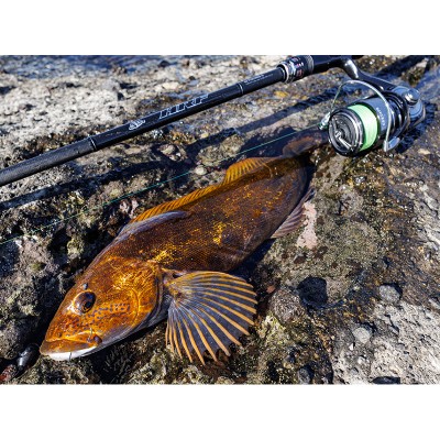 Спиннинг Daiwa HRF SX