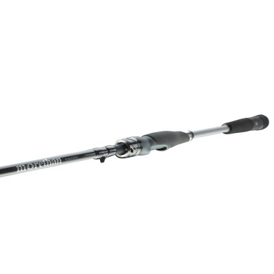 Спиннинг Daiwa Morethan AGS Seatrout