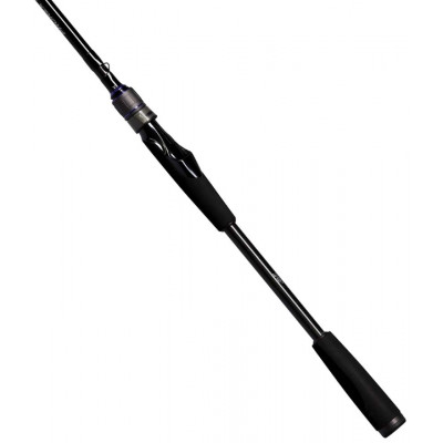 Спиннинг двухчастный Daiwa Prorex AGS