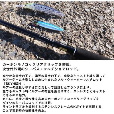 Спиннинг двухчастный Daiwa Skyhigh