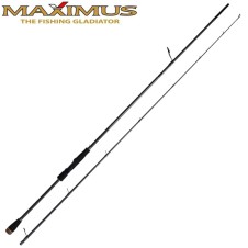 Спиннинг Maximus Resident Jig
