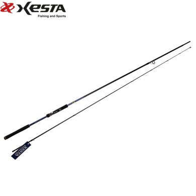 Спиннинг Xesta Runway SRF 10.1L-F Finesse Style длина 3,08м тест 5-40гр