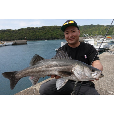 Спиннинг Yamaga Blanks Early for SeaBass