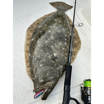 Спиннинг Yamaga Blanks SeaWalk Cast-Jigging