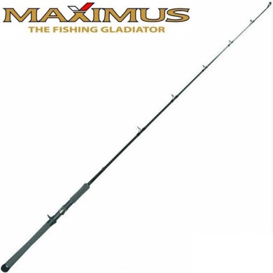 Удилище кастинговое Maximus Warrior C 16XH длина 1,6м тест 50-130гр