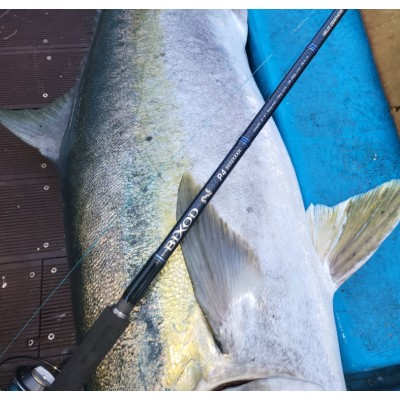 Удилище троллинговое JS Company Bixod P4 ver.2 S832XXXH длина 2,51м тест 120-200гр с тубусом