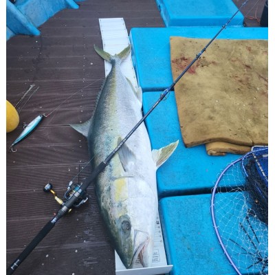 Удилище троллинговое JS Company Bixod P4 ver.2 S832XXXH длина 2,51м тест 120-200гр с тубусом